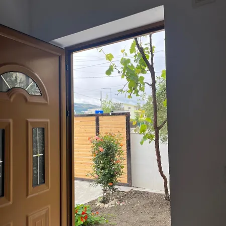 Blossom Guest house