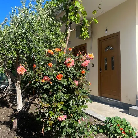 Blossom 3* Vlorë