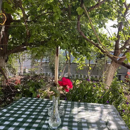 Casa de hóspedes Blossom 3*