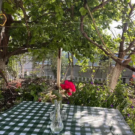 Guest house Blossom *