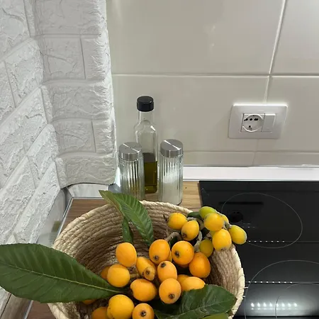 Blossom بيت ضيافة