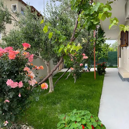 Blossom Vlorë
